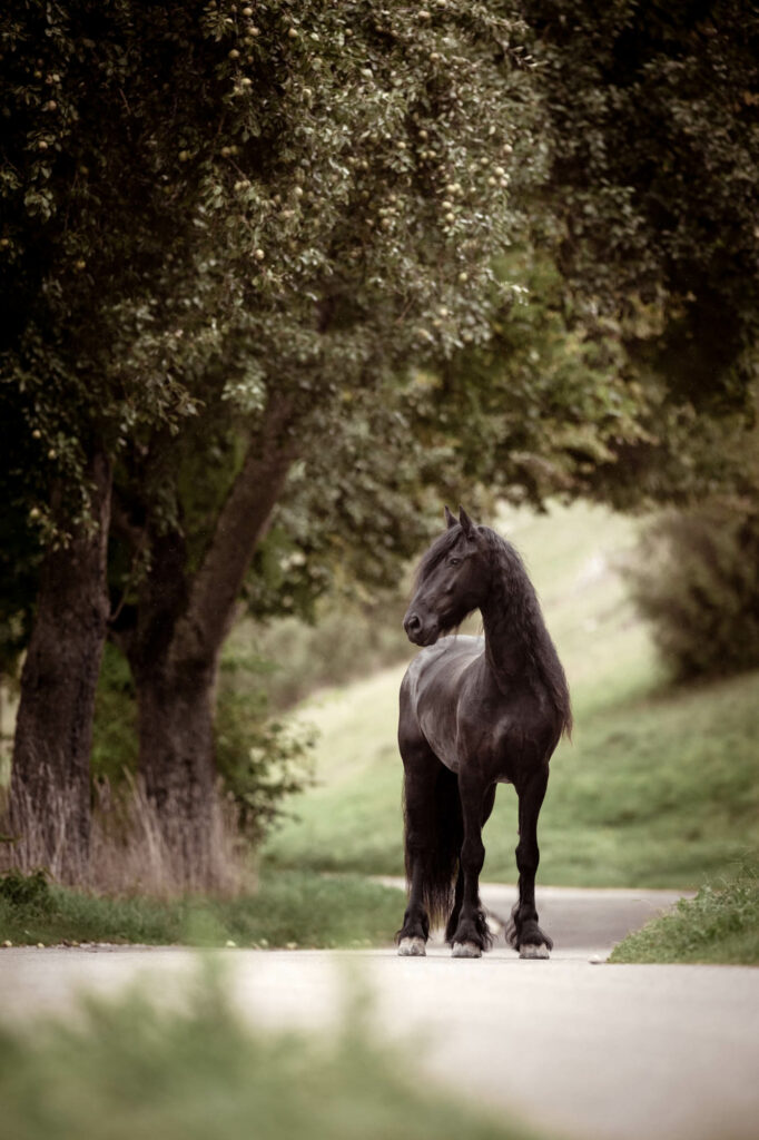 Tierfotografie Claudia Rahlmeier