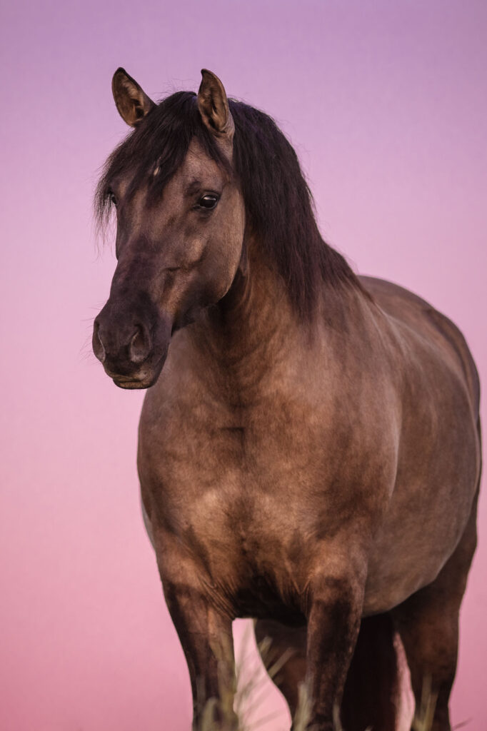 Tierfotografie Claudia Rahlmeier
