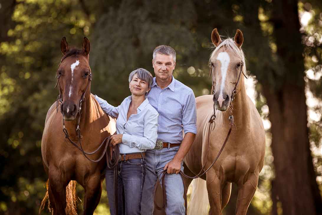 Quarter Horses