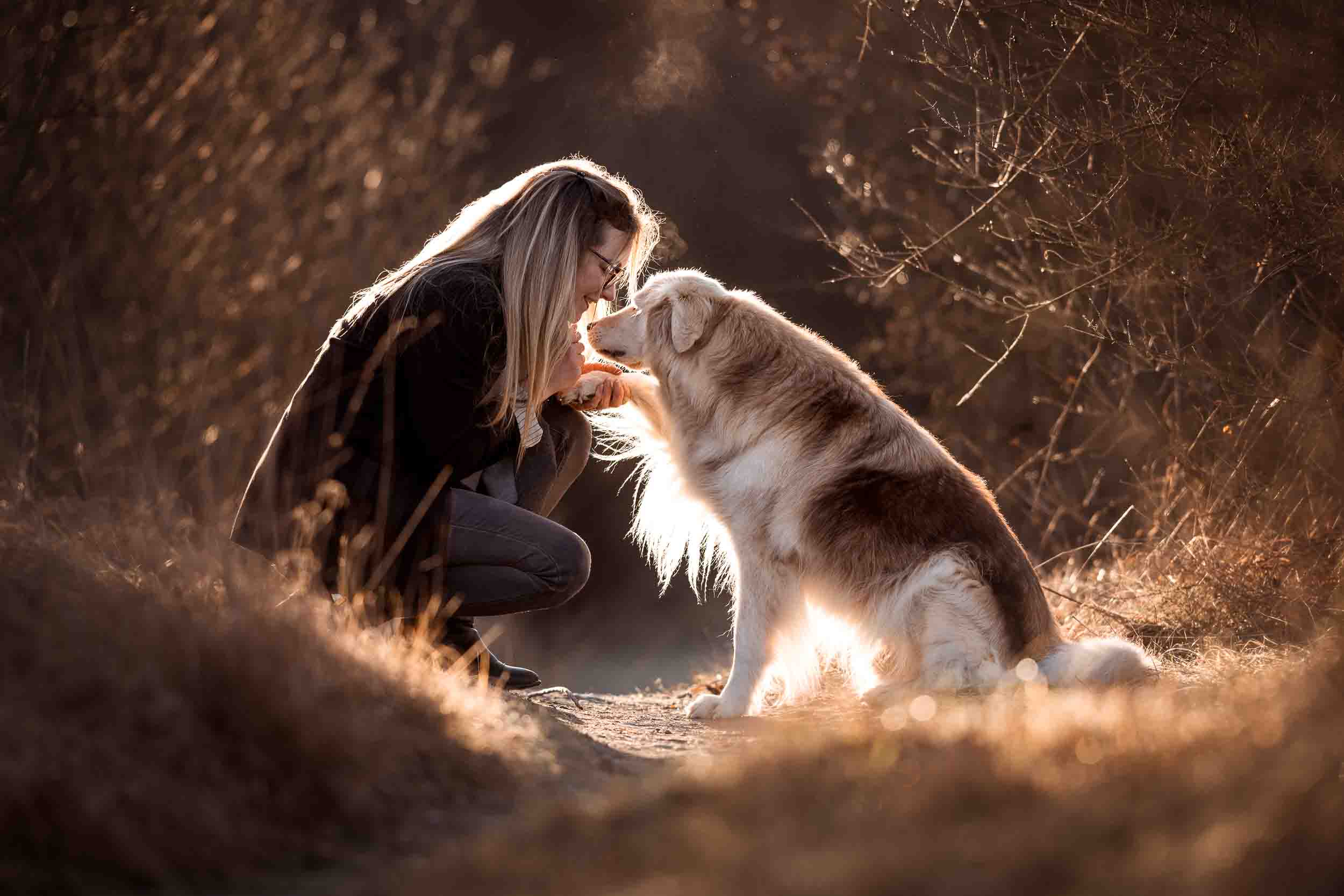 Hundefotografie Claudia Rahlmeier