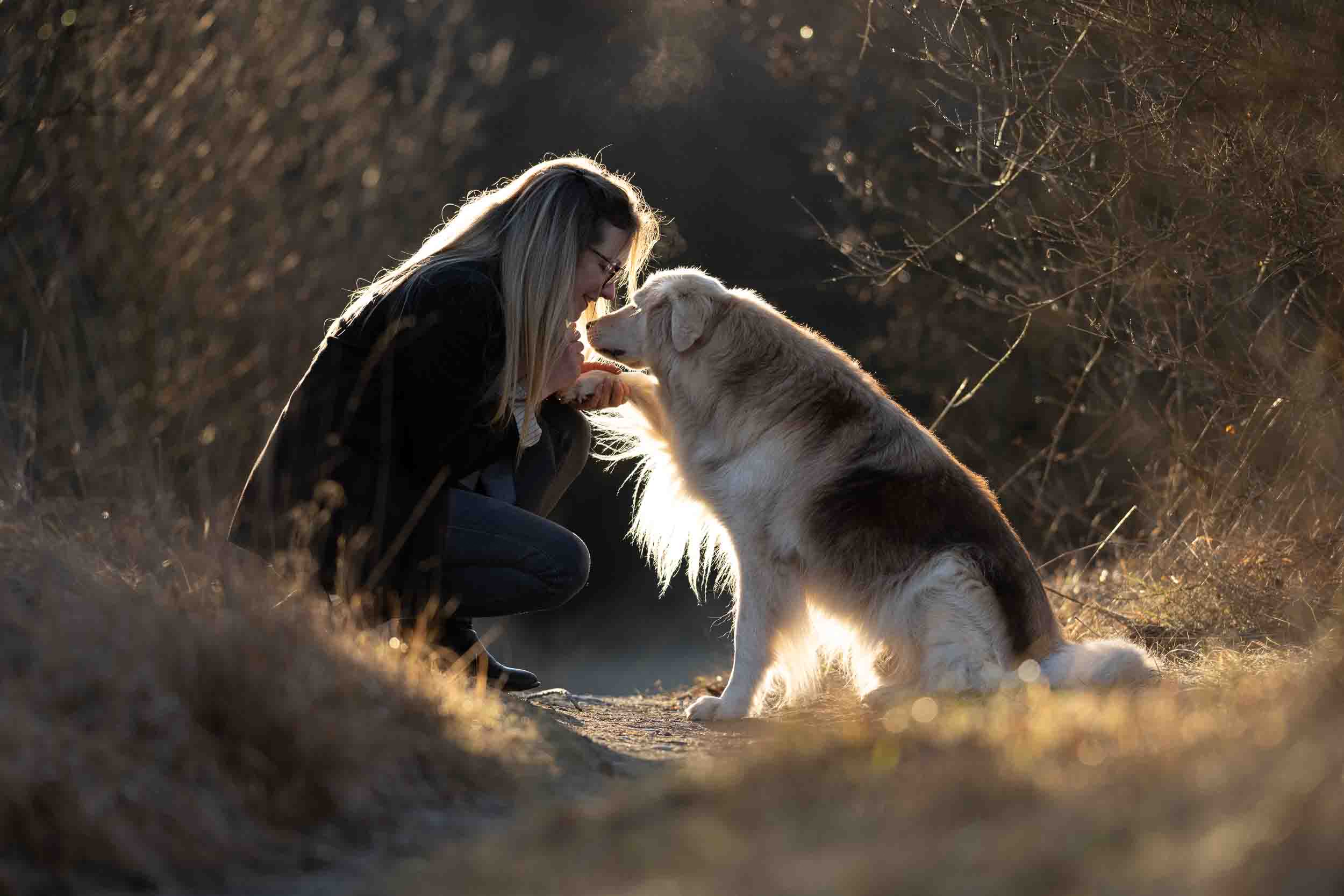 Hundefotografie Claudia Rahlmeier